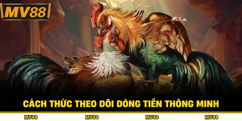Cách thức theo dõi dòng tiền thông minh