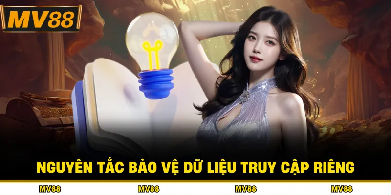 Nguyên tắc bảo vệ dữ liệu truy cập riêng