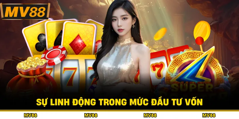 Sự linh động trong mức đầu tư vốn